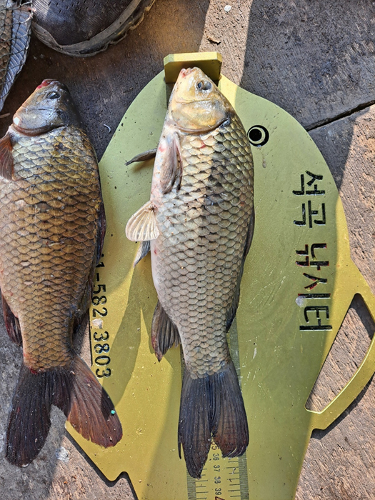 b2d70ceb0e075f3283de2c8cb71a6a11_1624408547_6557.jpg
