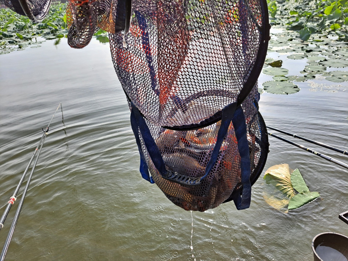 b2d70ceb0e075f3283de2c8cb71a6a11_1624408548_3456.jpg