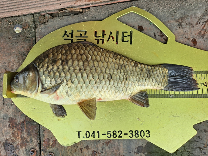b44af277a81db00ea72dcb256cabacaa_1623645870_58.jpg