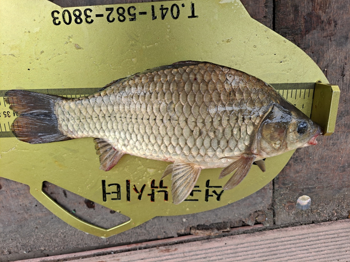 b44af277a81db00ea72dcb256cabacaa_1623645883_1966.jpg