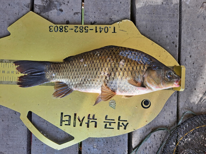 5449805c484b6dcc47066fec6c84c804_1627286102_4185.jpg